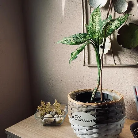 Apartment Apartman Deluxe Una Holiday *